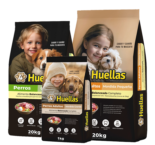 4huellos perros