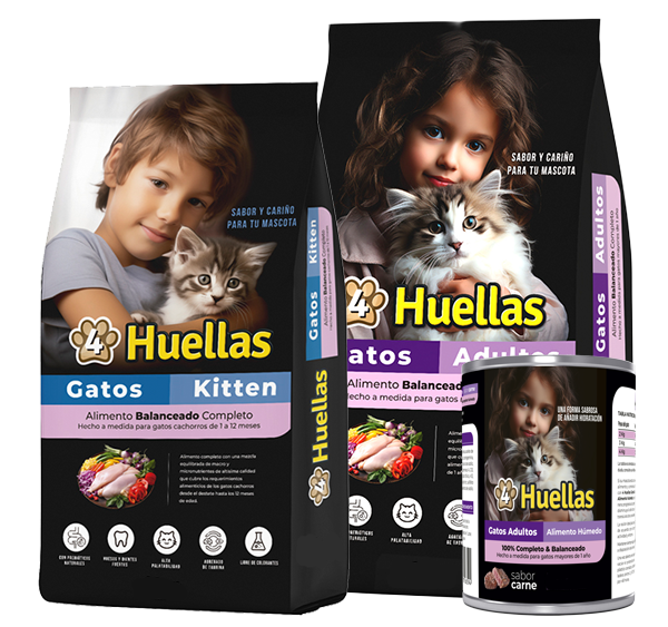 4 huellas comida para perros y gatos