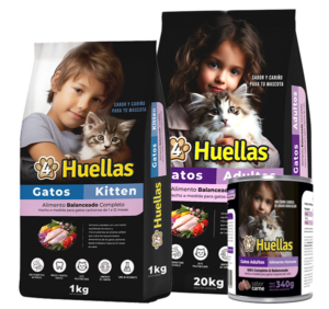 4 huellas gatos