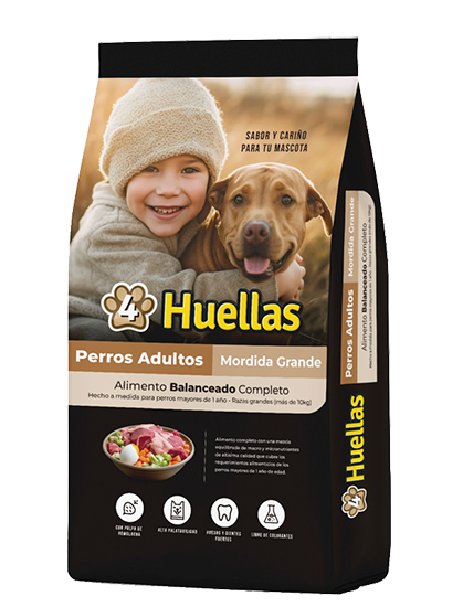 4 huellas perros adultos