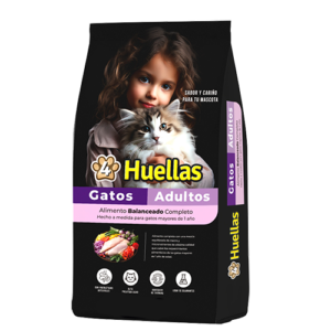 Gatos adultos 4 huellas